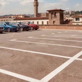Free white parking lines