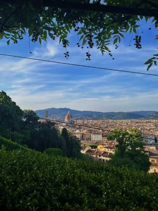 Bardini Gardens View