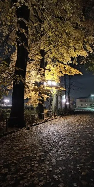 autumn time in Cascine park, Florence