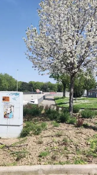 spring in florence